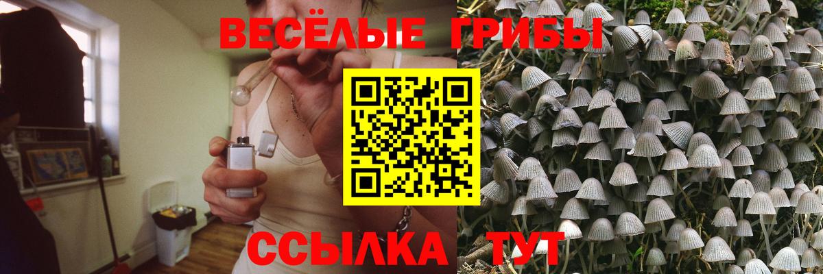 Сланцы  Псилоцибиновые грибы ЛСД  Вход с VPN 