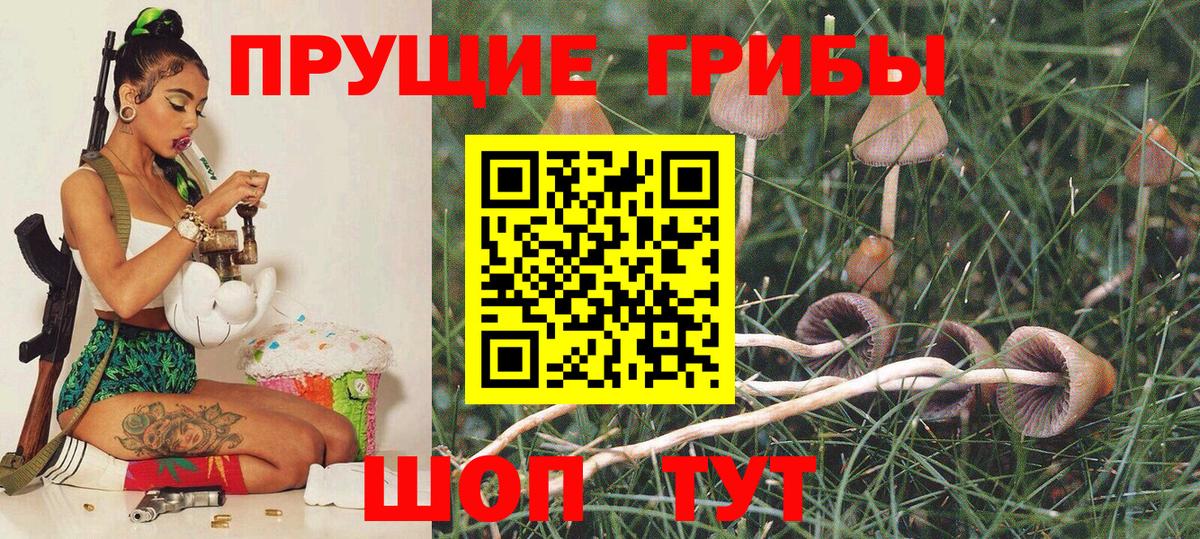 Галлюциногенные грибы Psilocybe Сланцы
